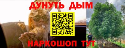 трава Славгород