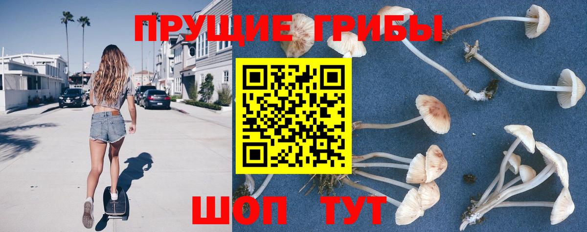 Псилоцибиновые грибы ЛСД  сколько стоит  Вход с VPN  Нижнеудинск  Псилоцибиновые грибы MAGIC MUSHROOMS 