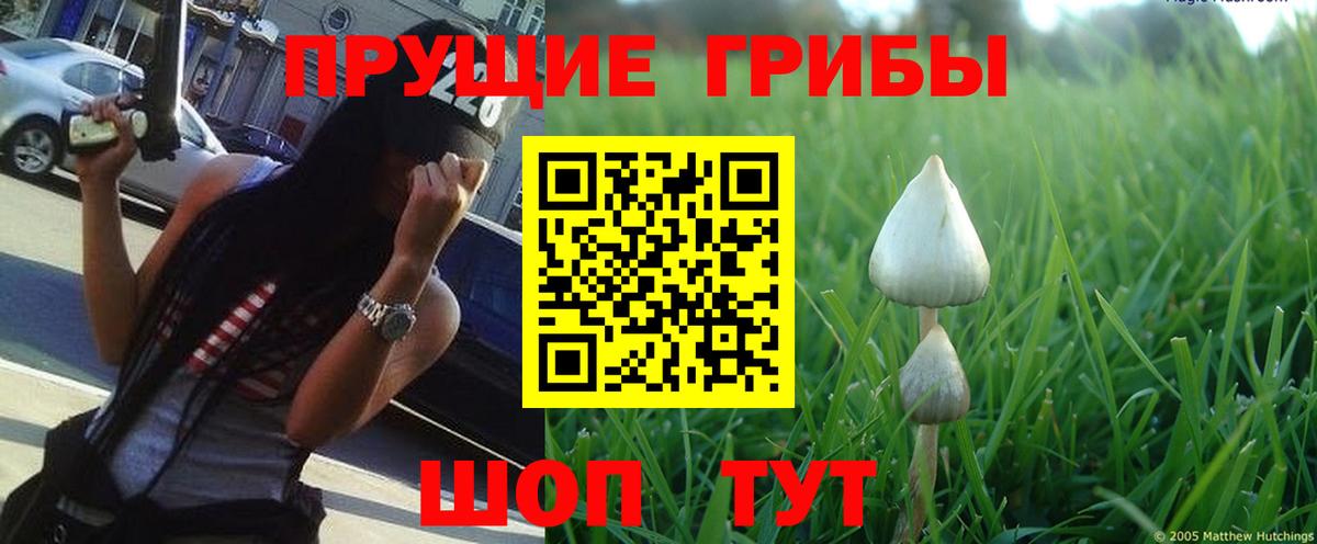 Псилоцибиновые грибы MAGIC MUSHROOMS Нижнеудинск